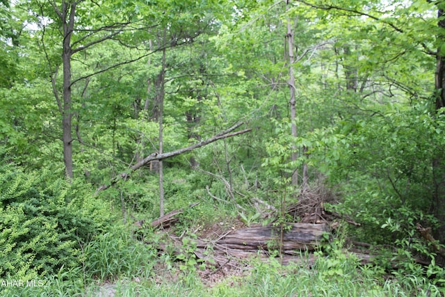00 Black Valley Rd, Everett, PA 15537