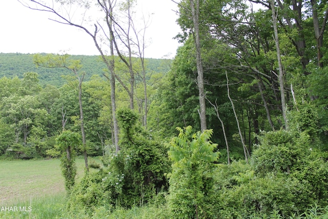 00 Black Valley Rd, Everett, PA 15537