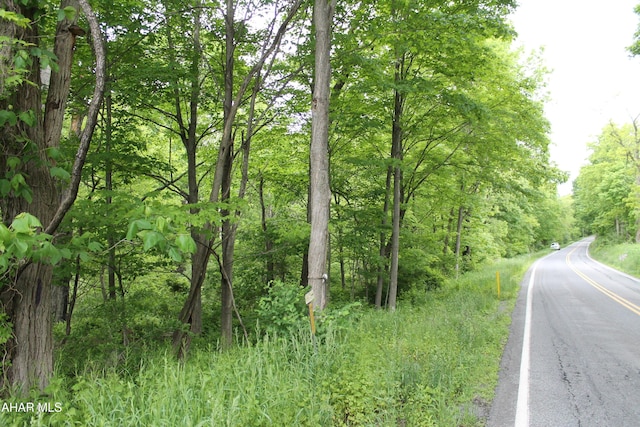 00 Black Valley Rd, Everett, PA 15537