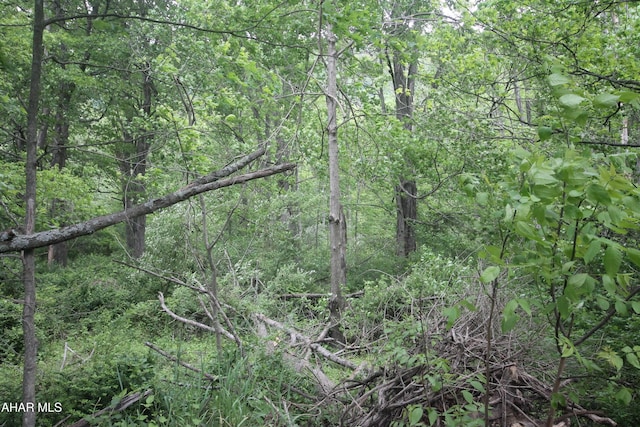 00 Black Valley Rd, Everett, PA 15537