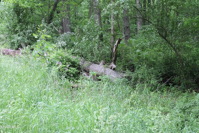 00 Black Valley Rd, Everett, PA 15537