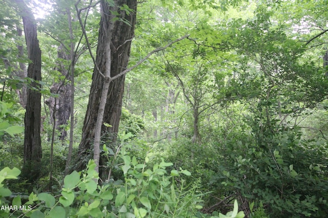00 Black Valley Rd, Everett, PA 15537