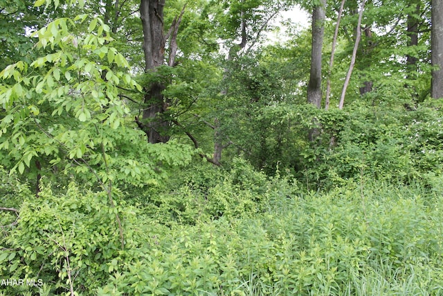00 Black Valley Rd, Everett, PA 15537