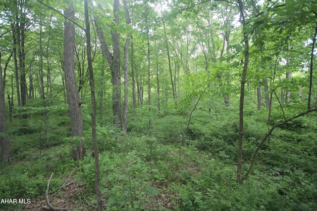 00 Black Valley Rd, Everett, PA 15537