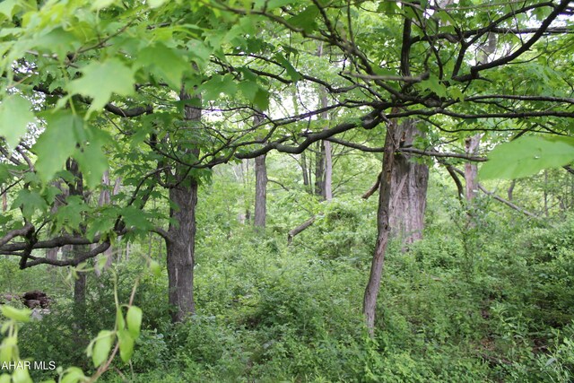 00 Black Valley Rd, Everett, PA 15537