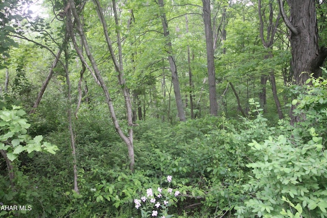 00 Black Valley Rd, Everett, PA 15537