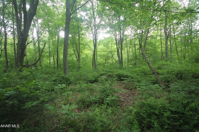 00 Black Valley Rd, Everett, PA 15537