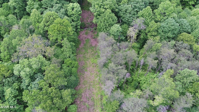 00 Black Valley Rd, Everett, PA 15537