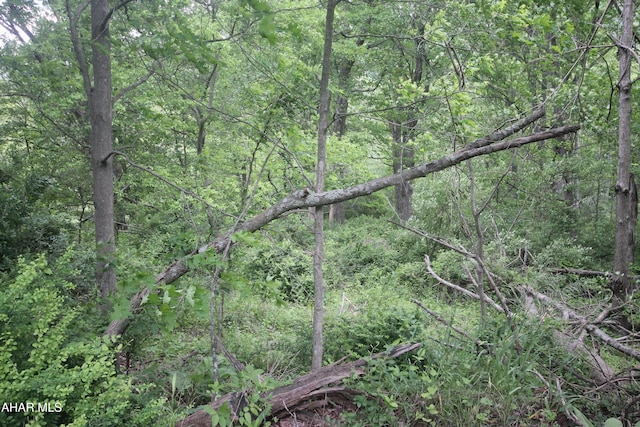 00 Black Valley Rd, Everett, PA 15537