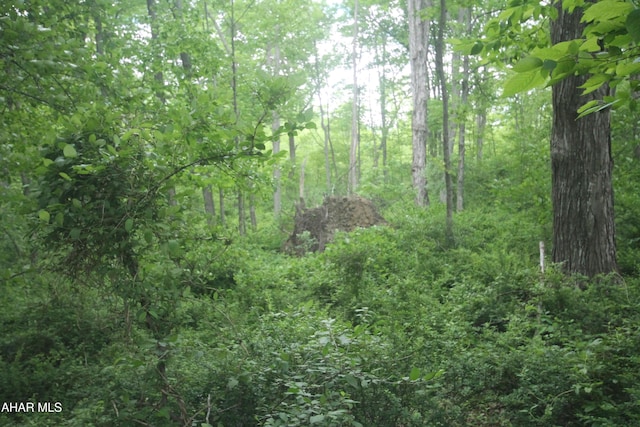 00 Black Valley Rd, Everett, PA 15537