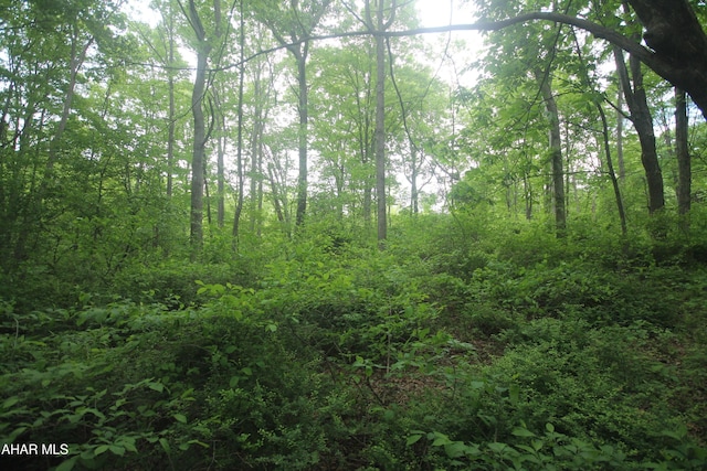 00 Black Valley Rd, Everett, PA 15537