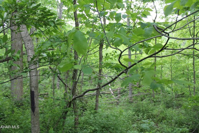 00 Black Valley Rd, Everett, PA 15537