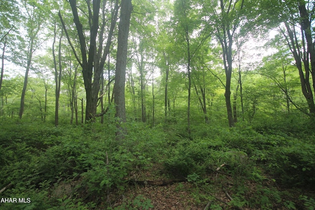 00 Black Valley Rd, Everett, PA 15537