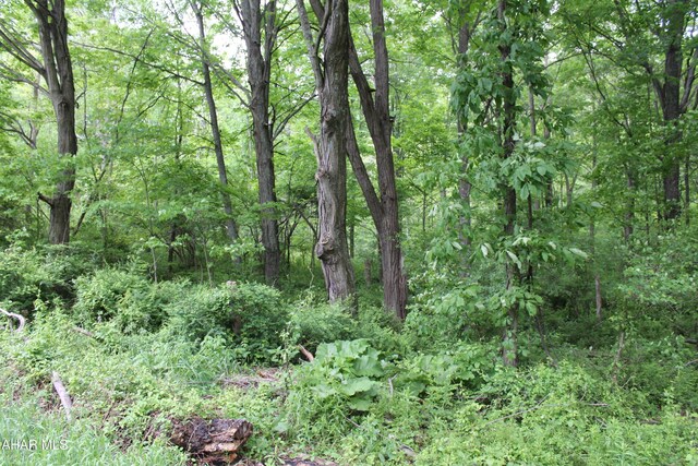 00 Black Valley Rd, Everett, PA 15537