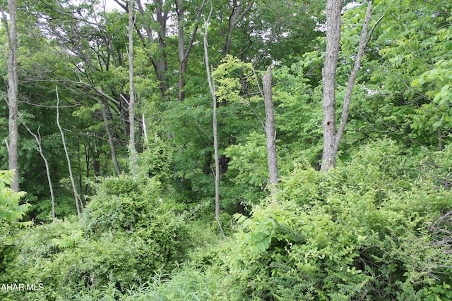 00 Black Valley Rd, Everett, PA 15537