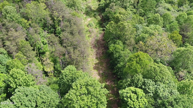 00 Black Valley Rd, Everett, PA 15537