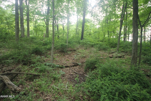 00 Black Valley Rd, Everett, PA 15537