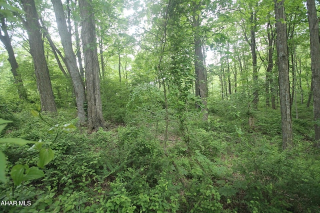 00 Black Valley Rd, Everett, PA 15537