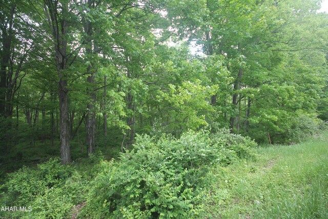 00 Black Valley Rd, Everett, PA 15537