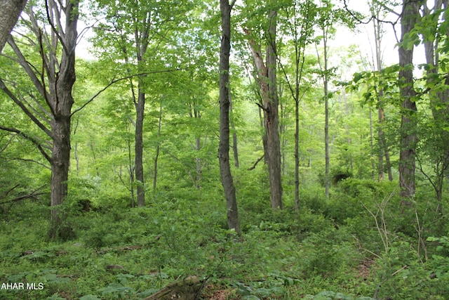 00 Black Valley Rd, Everett, PA 15537