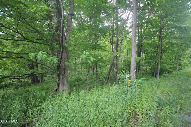 00 Black Valley Rd, Everett, PA 15537