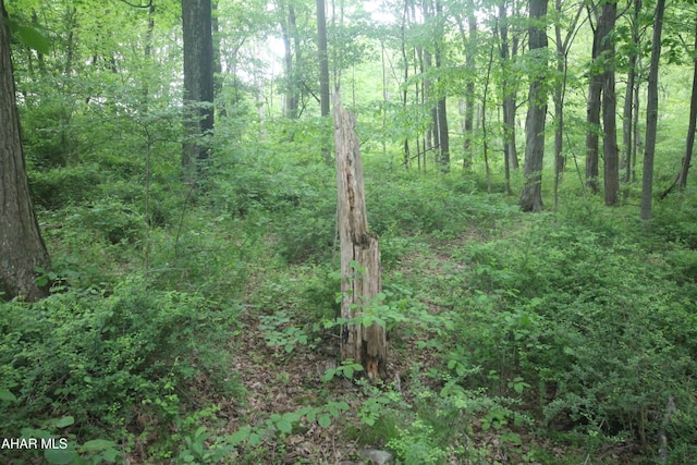 00 Black Valley Rd, Everett, PA 15537