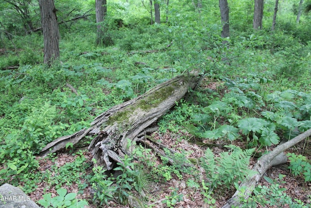 00 Black Valley Rd, Everett, PA 15537