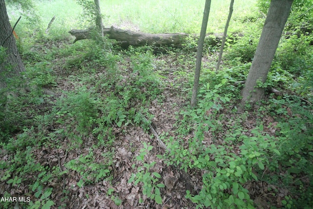 00 Black Valley Rd, Everett, PA 15537