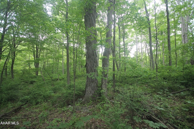 00 Black Valley Rd, Everett, PA 15537