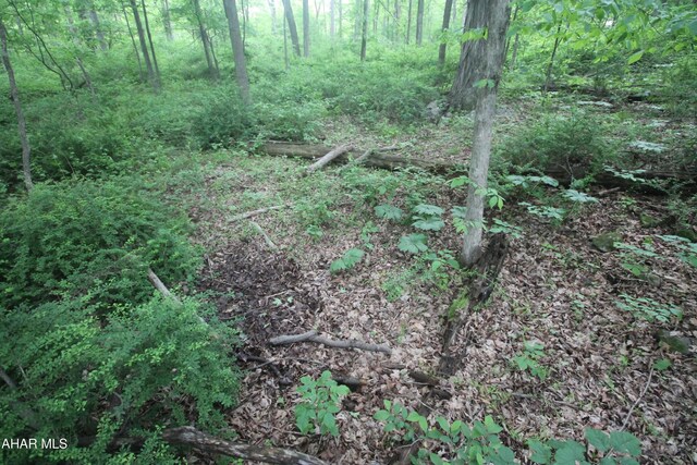 00 Black Valley Rd, Everett, PA 15537
