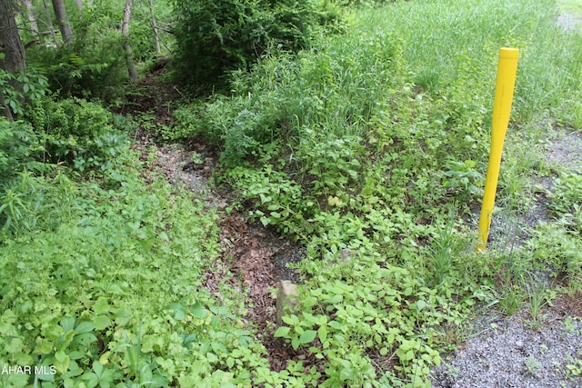 00 Black Valley Rd, Everett, PA 15537