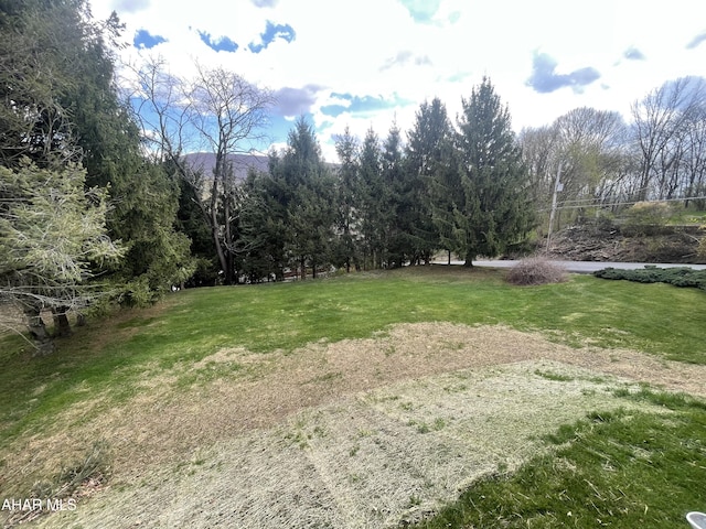view of yard