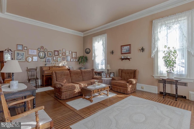 living room featuring crown molding and radiator heating unit