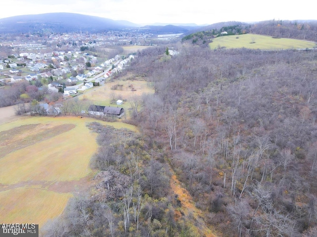 aerial view with a mountain view