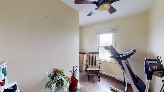 exercise room with dark hardwood / wood-style flooring and ceiling fan