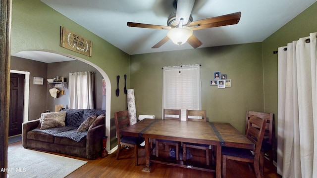 dining space featuring hardwood / wood-style floors, ceiling fan, and a healthy amount of sunlight