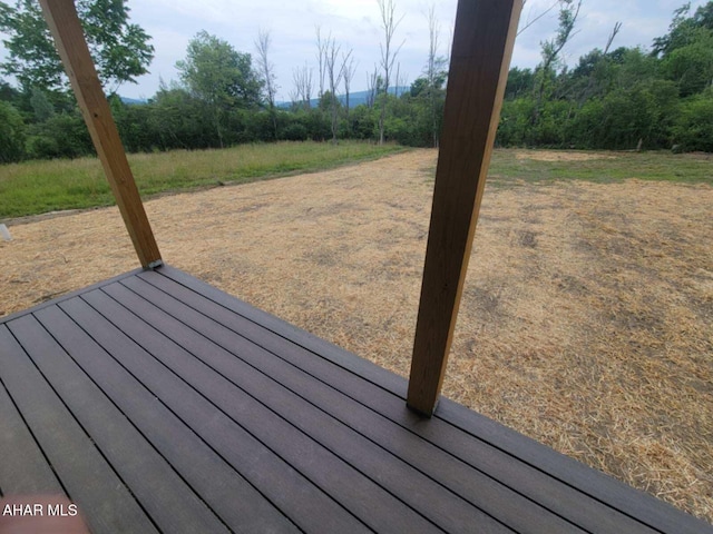 171 Deer Track Rd, Duncansville, PA 16635 - photo 32