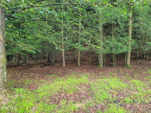 257-265 Red Oak Rd, Flinton, PA 16640 - photo 1