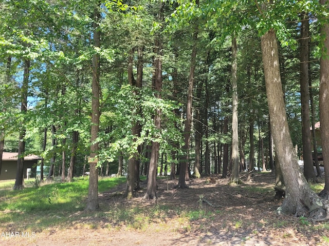 S528 Falcon Crest Ln, Flinton, PA 16640