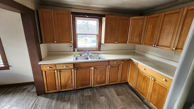 kitchen featuring dark wood-type flooring and sink