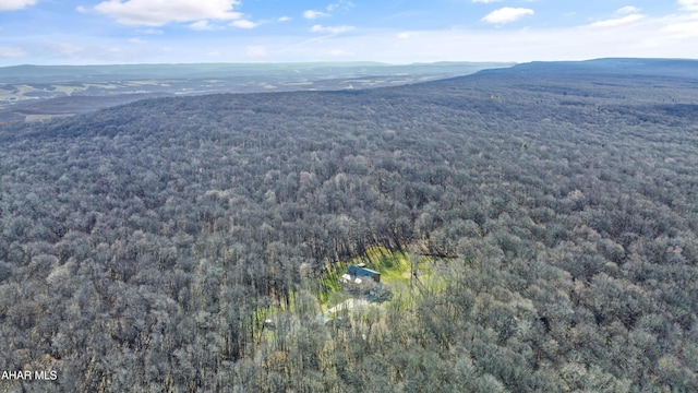 drone / aerial view featuring a mountain view