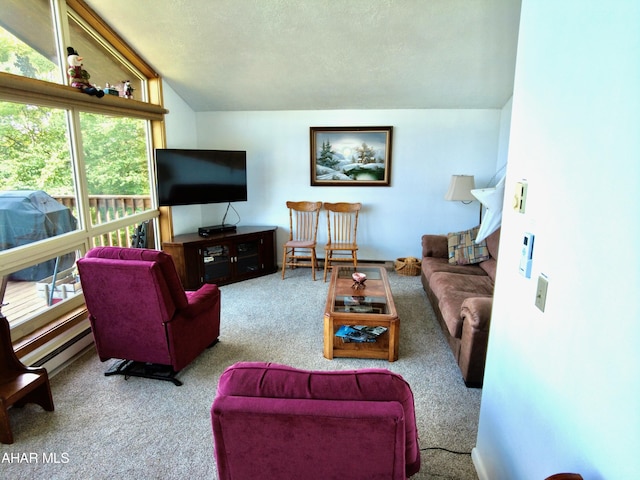 384 Little Valley Rd, Claysburg, PA 16625 - photo 55
