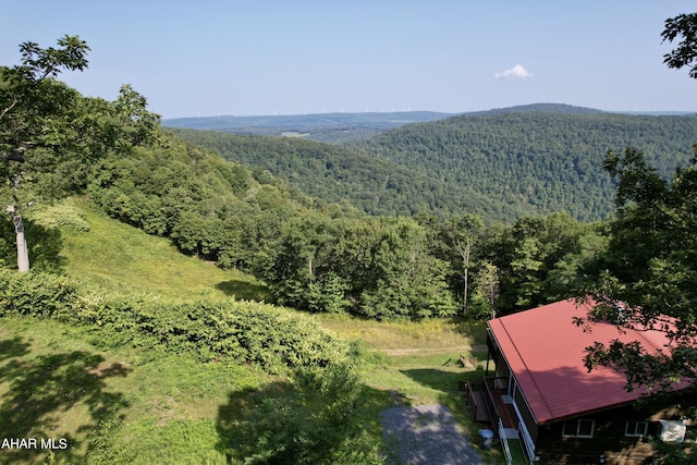 384 Little Valley Rd, Claysburg, PA 16625 - photo 42