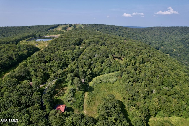 384 Little Valley Rd, Claysburg, PA 16625 - photo 109