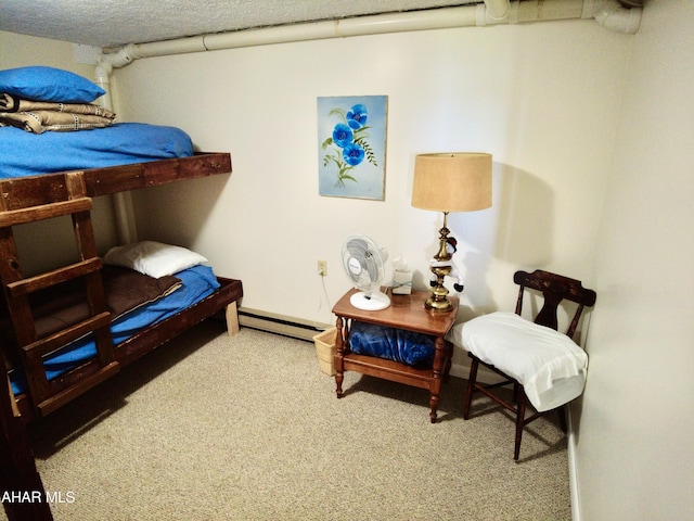 384 Little Valley Rd, Claysburg, PA 16625 - photo 89