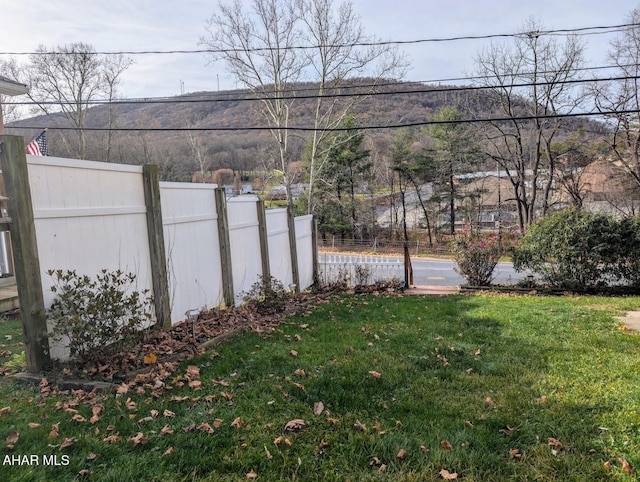 9802 Black Valley Rd, Everett, PA 15537 - view of yard