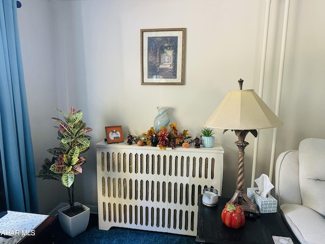 room details with radiator heating unit