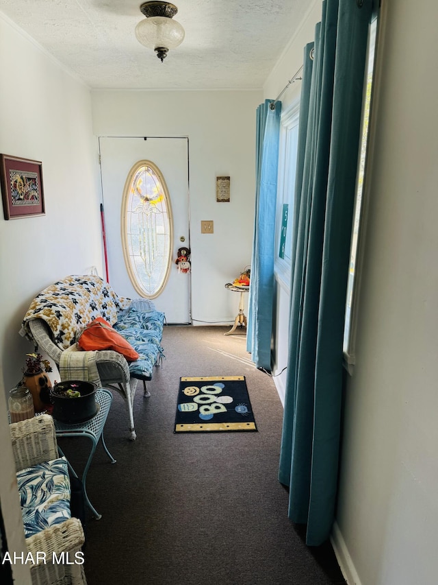 carpeted foyer with a healthy amount of sunlight and a textured ceiling