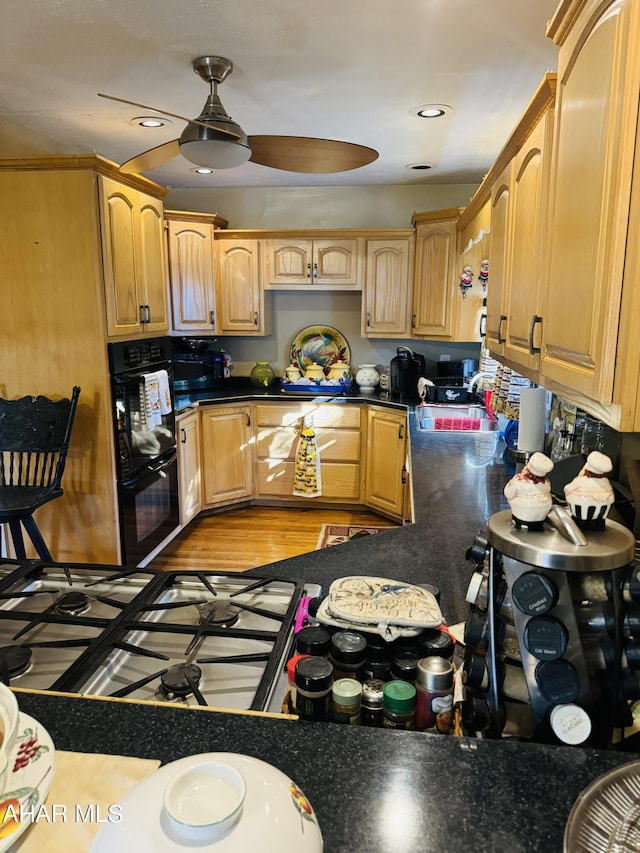 kitchen with light hardwood / wood-style floors, ceiling fan, and sink