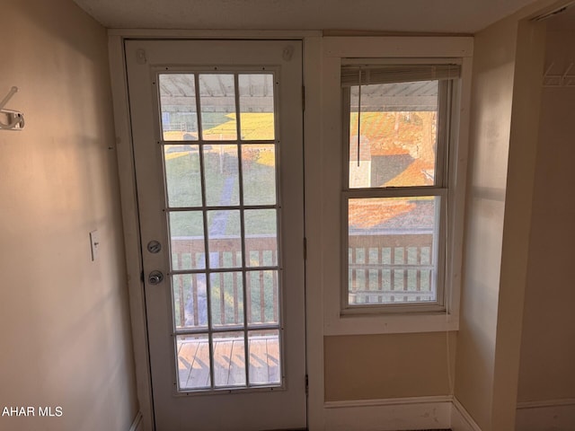 entryway with a healthy amount of sunlight